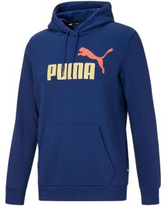 Sudadera con capucha Puma Essentials Big Logo par